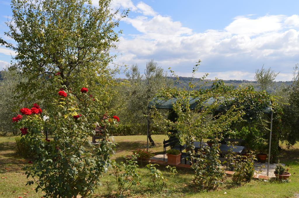 Oliveta Apartment Tavarnelle Val di Pesa Room photo